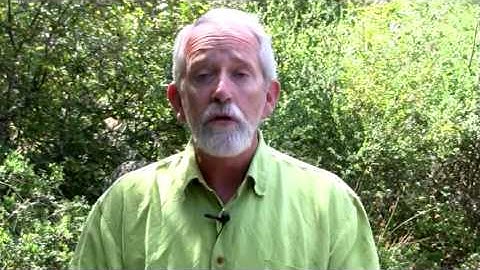 Michael Shaw AGENDA 21