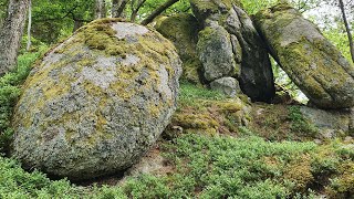 TEMPEL DER AHNEN ! Megalithbauten und Schalensteine im Schwarzwald?