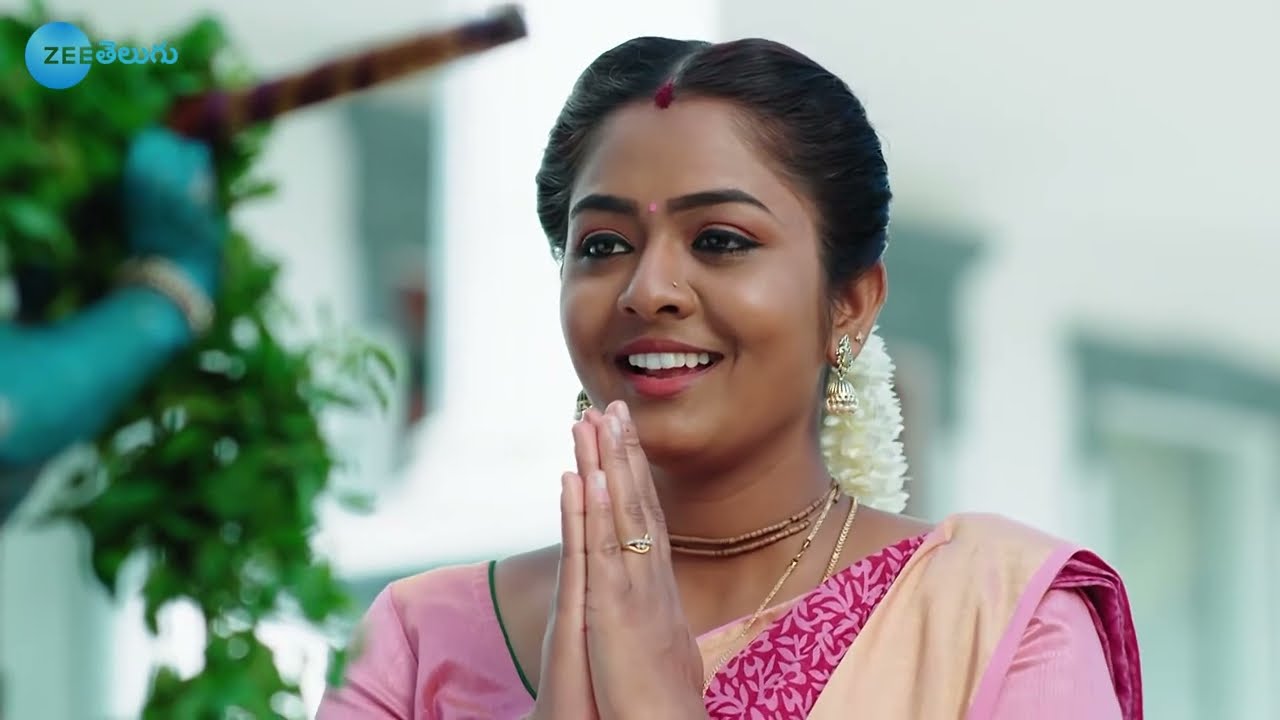 Anand పూర్వీకుల ఇంటిని చర్చిస్తాడు | Krishna Tulasi | Full Ep. 300 | ZEE Telugu