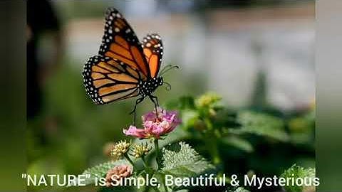 Nature, Complications and Nonlinear dynamics