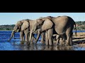 Chobe National Park, Botsuana