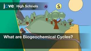 What are Biogeochemical Cycles? | Bio | Video Textbooks - Preview