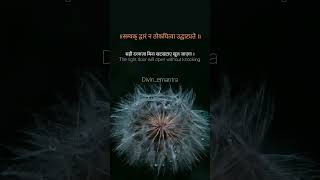 The Right Door Will Open Without Knocking