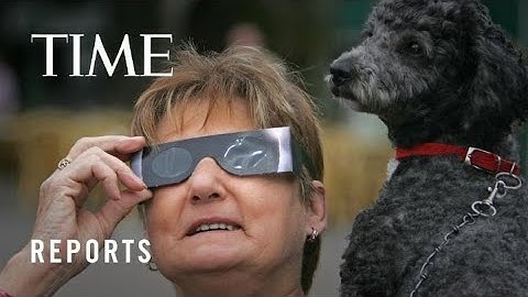 How Do Animals React During a Total Solar Eclipse?
