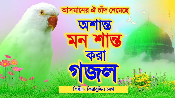 Mushuk pornosiga turli xil narsalarni kiritish