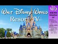 Wdw resort tv today channel  disney world  live stream  new version