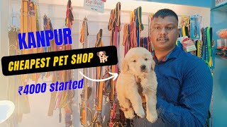 BEST PET SHOP IN KANPUR | DOG PUPPY IN KANPUR | CHEAPEST PRICE