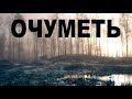 НА ОПУШКЕ У БОЛОТА - ВЫКОПАЛ И ОЧУМЕЛ!!!