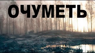 НА ОПУШКЕ У БОЛОТА - ВЫКОПАЛ И ОЧУМЕЛ!!! НА ОПУШКЕ У БОЛОТА - ВЫКОПАЛ И ОЧУМЕЛ!!!