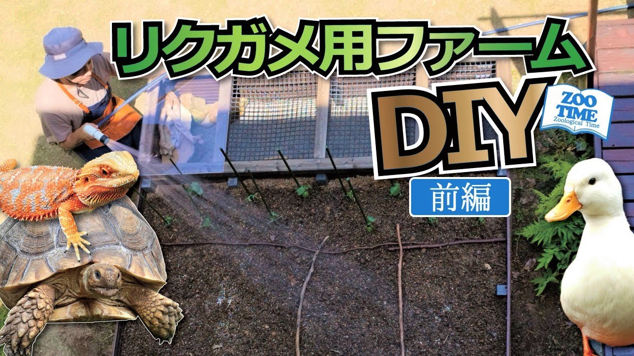 ◇「TORTOISE LAND リクガメ飼育百科」◇完全飼育マニュアル