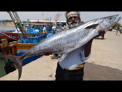 KING SHEELA FISH