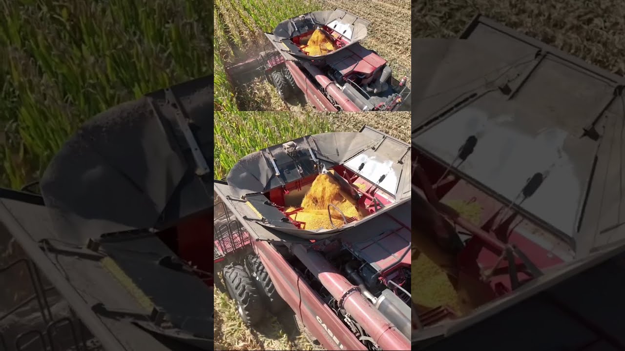  He Did WHAT To The Combine Farming