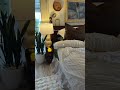 Cozy bedding only Linens & Hutch #duvetcover #bedding #cozybedroom #cozybedding #bedding