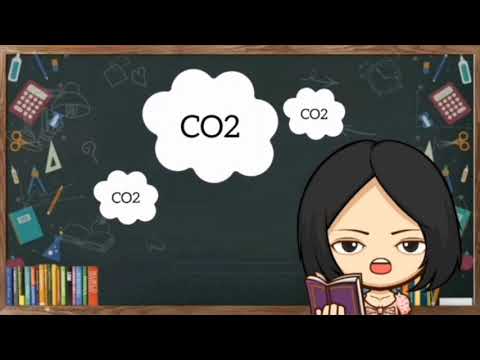 Video: Apakah karbon dioksida adalah zat murni?