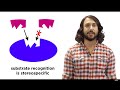 The Essential Role of Enzymes in Biochemical Reactions