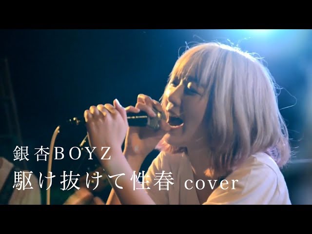 【レア】銀杏BOYZ 切り抜き　レアなモノもあります　100P以上 銀杏BOYZ 12インチシングルレコード～TRIBUTEアルバムまでまとめ
