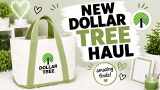 Dollar Tree Haul| New Amazing Finds| August 27, 2026
