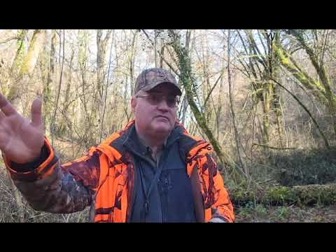 palombe.org - Un après midi en battue