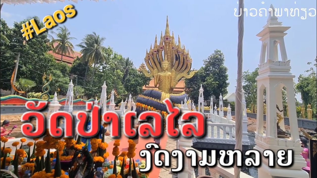 Laos : ວັດປ່າເລໄລ ໃນຕຳນານ | วัดป่าเลไลย์ในตำนาน .