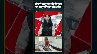 मऊगंज में मधुमक्खियों का हमला! जान बचाने नदी में कूदा किसान