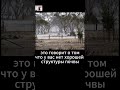 потоп после пожара, но здоровые почвы могут с этим справиться