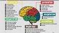 Beynin Fizyolojisi ve Psikoloji ile ilgili video
