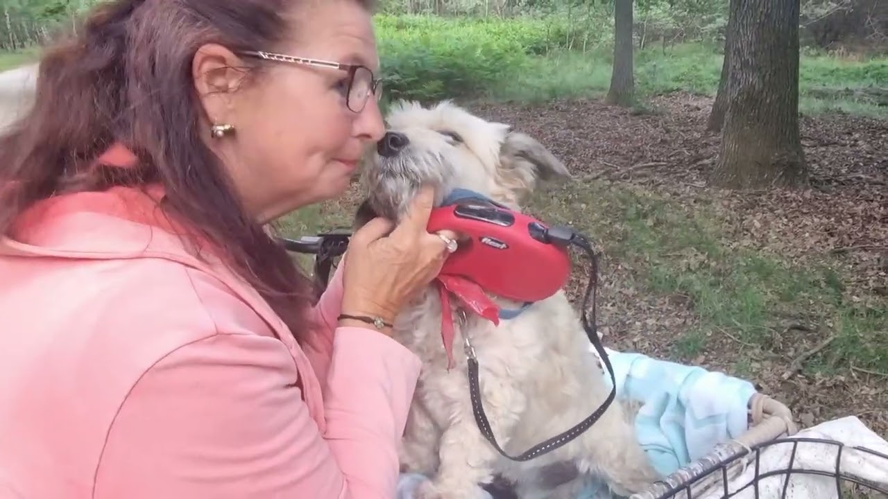 Mini camping de Pollen in Emst #121