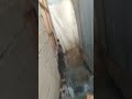 guys try my sound and i comment