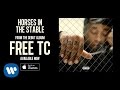 Ty dolla ign  horses in the stable audio