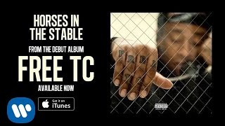 Video thumbnail of "Ty Dolla $ign - Horses In The Stable [Audio]"