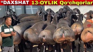 75/80-KG DAXSHAT 13-OYLIK qochqorlar SHOK narx 😱🔥