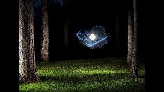 Portals Wormholes & Entities...