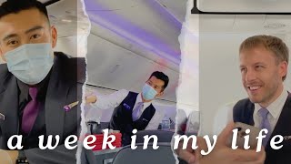 a week in my life  Australian flight attendant vlog