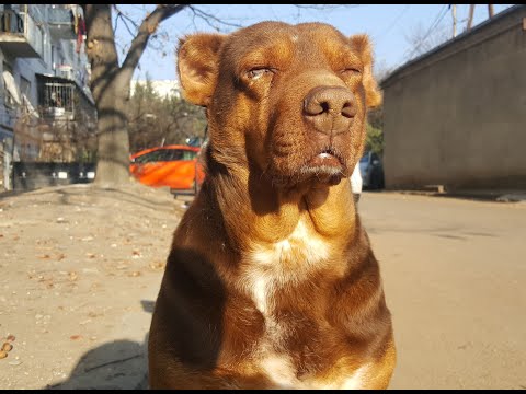 Tbilisi 4.02.2021. Gldanula. Глданула. გლდანულა