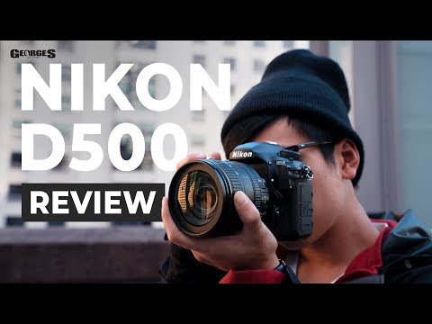 THE BABY D5? | Nikon D500 Review by Georges Cameras