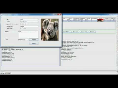 Oracle GoldenGate For Blob Data Type 2