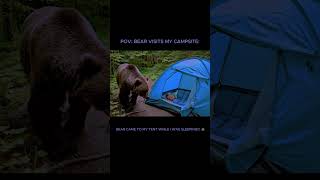 I Confronted A Bear While Camping