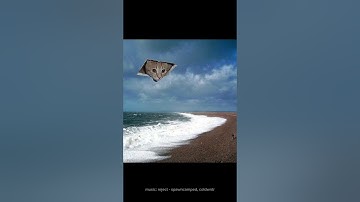 random stuff from my camera roll :D #shorts #shortvideo #random