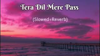 Tera dil mere pass 💞l Slowed Reverb l #slowedandreverb #lofimusic #oldisgold #musicvideo #slowsongs