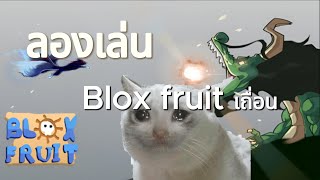 Roblox | เมื่อผมลองเล่น Blox Fruit ปลอมครั้งแรก!!