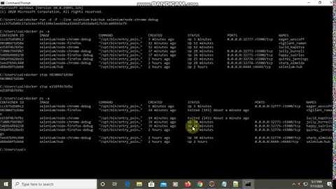 Part 3 Selenium cucumber execution on docker container