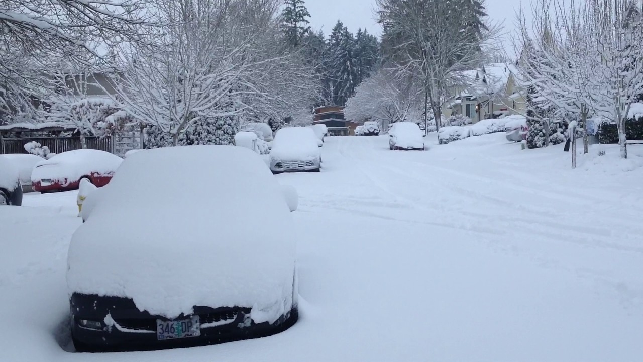 Snow Storm 2017 Snow Storm 2017