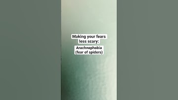 Making your fears less scary: Arachnophobia (fear of spiders) part 4 #fears #shorts