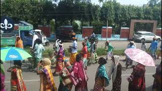 Jitray Murmu 118 Ml 8455826909