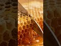 honey comb asmr #asmr #animation #satisfying #relaxing #eating