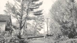The Eastmans’ Rain-Soaked Wedding & Honeymoon | Our Hometown: Peterborough