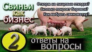 ОТКОРМ НА ПИЩЕВЫХ ОТХОДАХ