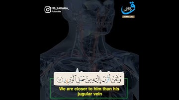 حالات واتس اب القران/إسلام صبحي/سورة  ق {وَلَقَدْ خَلَقْنَا الْإِنسَانَ وَنَعْلَمُ مَا تُوَسْوِسُ }