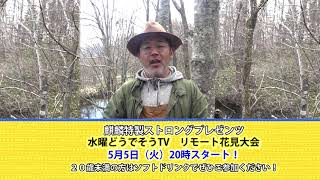 どうでしょう桜を見ながら藤村・嬉野とリモート花見のお知らせ。