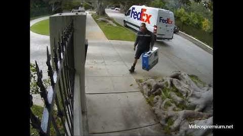 Videospremium.net - Fedex The world on Time